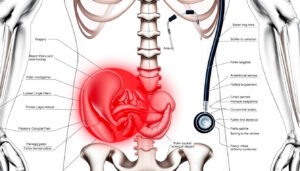 Pain Lower Left Abdomen: Causes and When to Worry